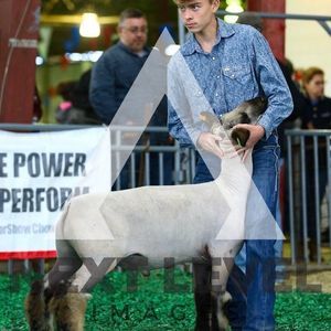 Meet your Posher, Ethien